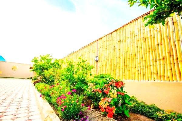 Safi House Bed & Breakfast Boma la Ngombe Екстериор снимка