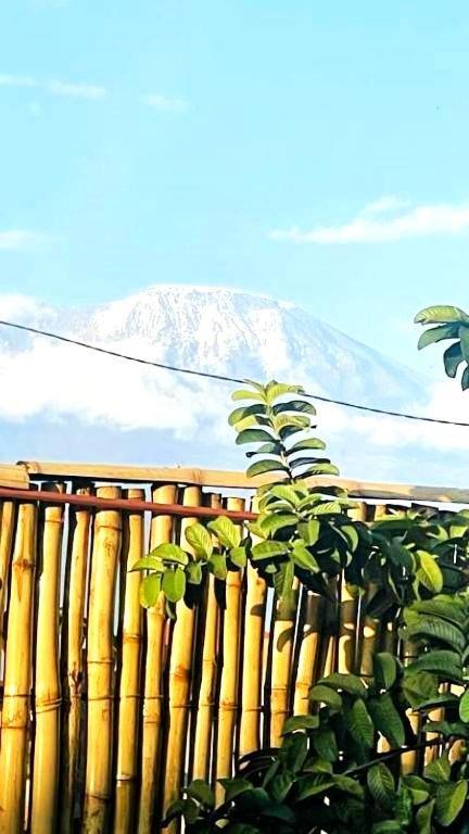 Safi House Bed & Breakfast Boma la Ngombe Екстериор снимка