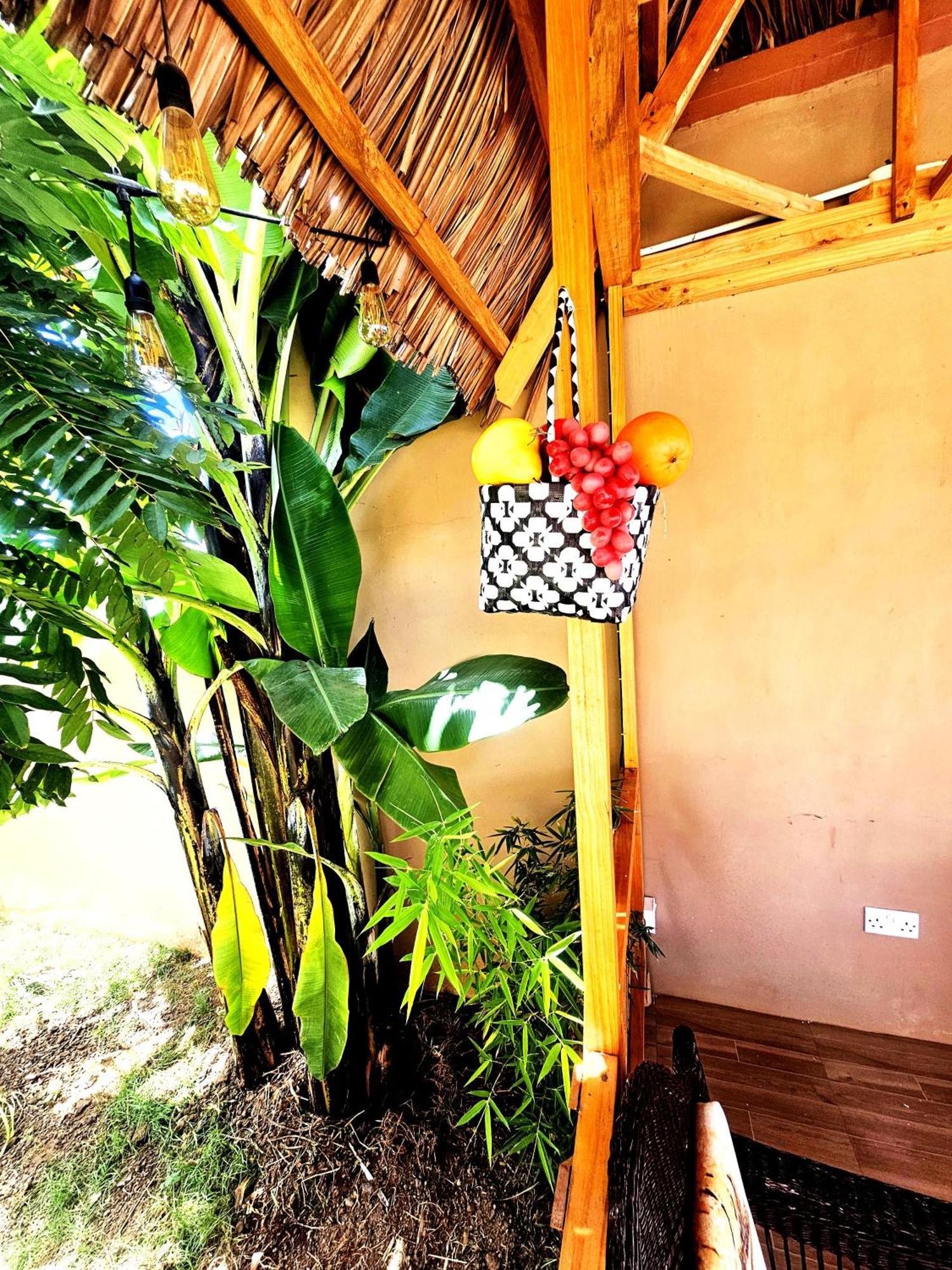 Safi House Bed & Breakfast Boma la Ngombe Екстериор снимка