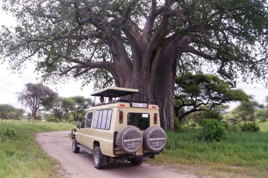 Safi House Bed & Breakfast Boma la Ngombe Екстериор снимка